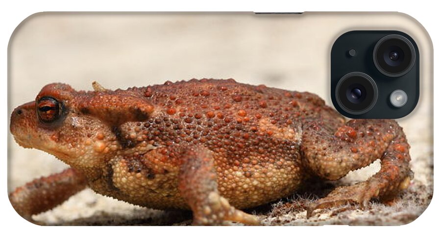 Warts iPhone Case featuring the photograph Warts 'n' all by Richard Patmore