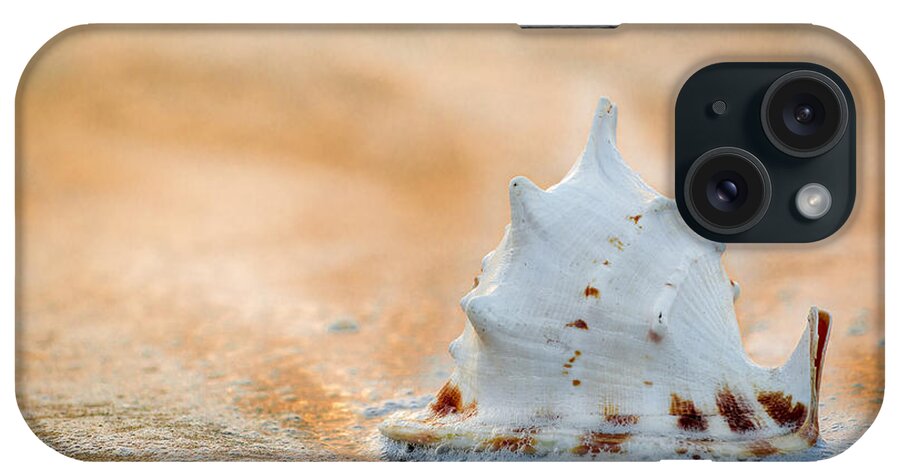 Beach iPhone Case featuring the photograph Washed Up by Sebastian Musial