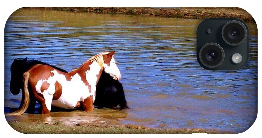 Horses iPhone Case featuring the photograph Water Babies by Rabiah Seminole