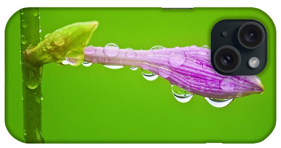 Water Droplets iPhone Case featuring the photograph Water blessing by Tatiana Travelways