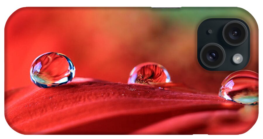 Gerbera Daisy iPhone Case featuring the photograph Water Drop Reflections by Angela Murdock