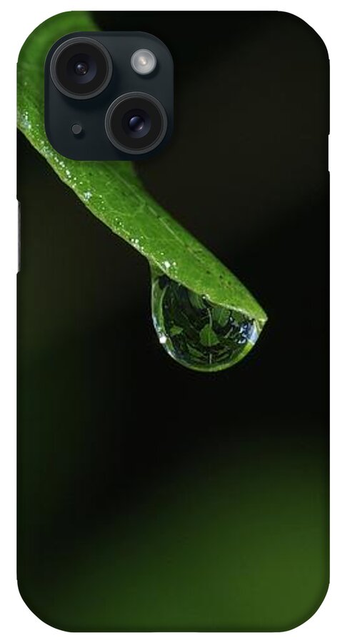 Minimalism iPhone Case featuring the photograph Water Drop by Richard Rizzo