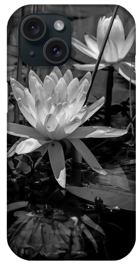 Photo For Sale iPhone Case featuring the photograph Water Lilies in Black and White by Robert Wilder Jr