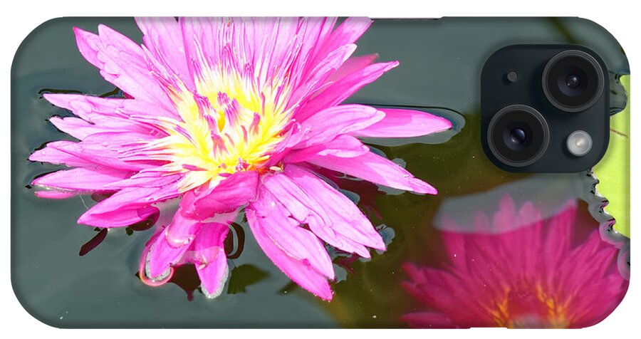 Water Lilies iPhone Case featuring the photograph Water lilies by Peter Ponzio