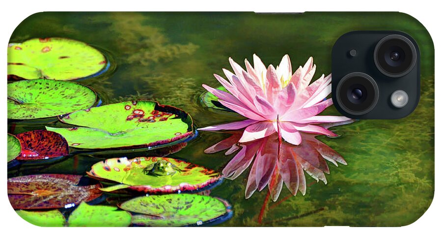  Water Lily And Frog iPhone Case featuring the photograph Water Lily and Frog by Savannah Gibbs