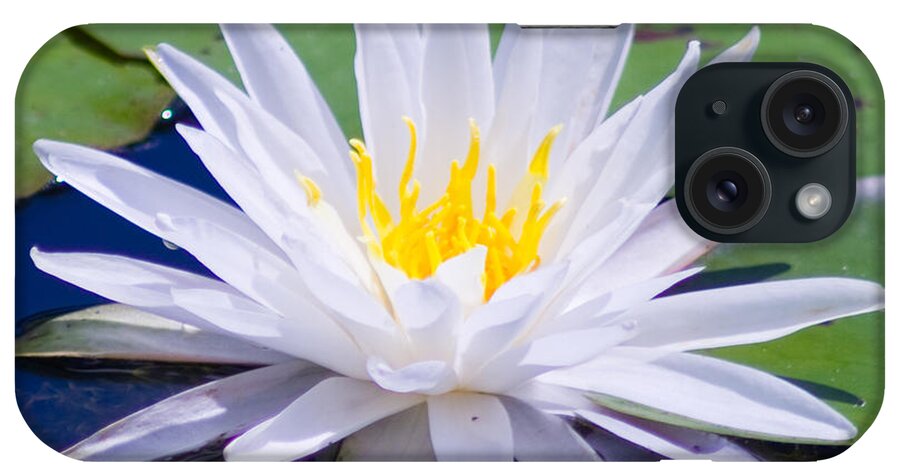 Water Lily iPhone Case featuring the photograph Water Lily by Bill Barber