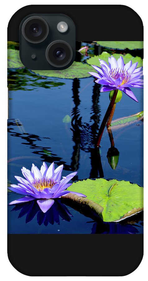 Water Lily iPhone Case featuring the photograph Water Lily by Lisa Blake