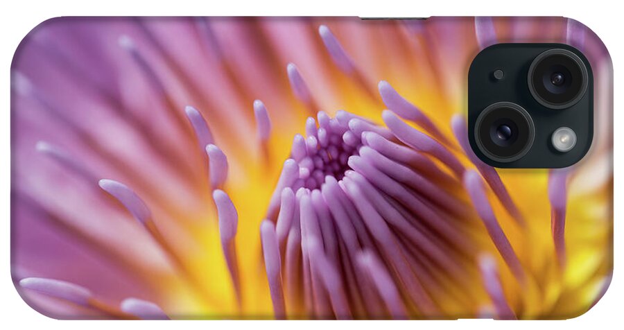 Water Lily iPhone Case featuring the photograph Water Lily by MindGourmet