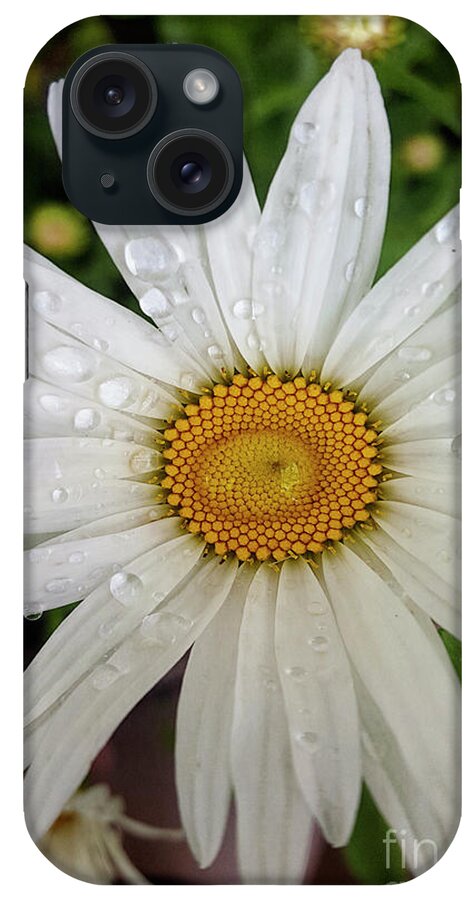 Flowers iPhone Case featuring the photograph Water on Chamomile by Rebecca Langen