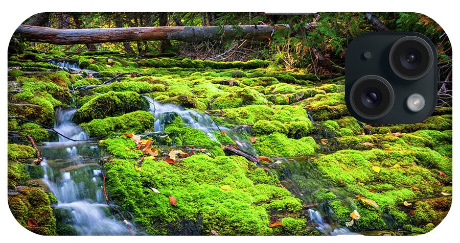 Waterfall iPhone Case featuring the photograph Waterfall over mossy rocks by Elena Elisseeva
