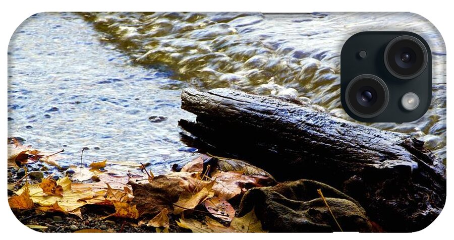 Fall Leaves iPhone Case featuring the photograph Waterlogged by Don Kenworthy