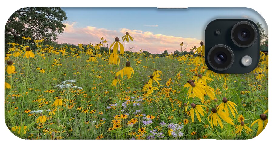 Flowers iPhone Case featuring the photograph Prairie 1 by Paul Schultz