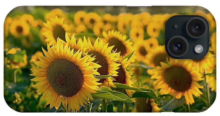 Yellow Flowers iPhone Case featuring the photograph Waving Sunflowers in a Field by Karen McKenzie McAdoo