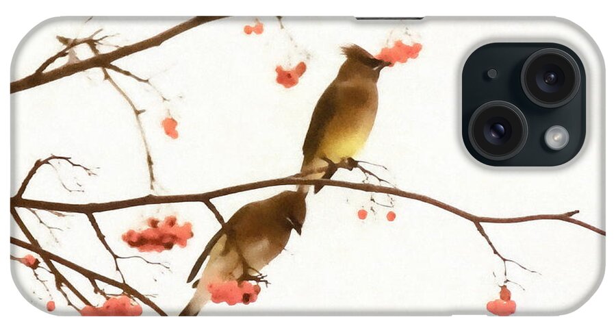 Waxwing iPhone Case featuring the photograph Waxwing Wonders by Andrea Kollo