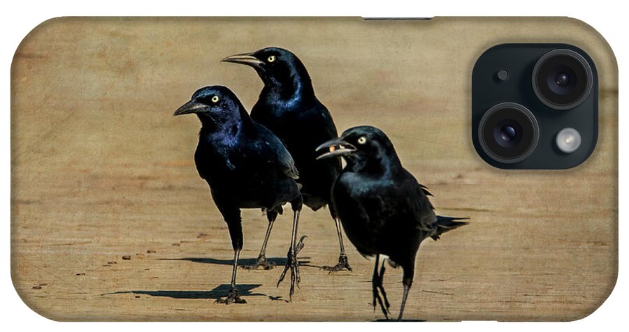 Crows iPhone Case featuring the photograph We Bad by Cathy Kovarik