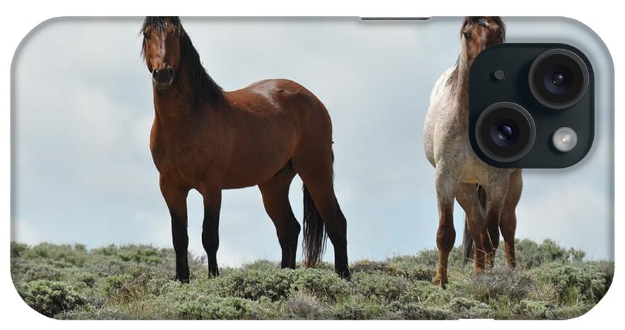 Wild Horses iPhone Case featuring the photograph We See You by Frank Madia