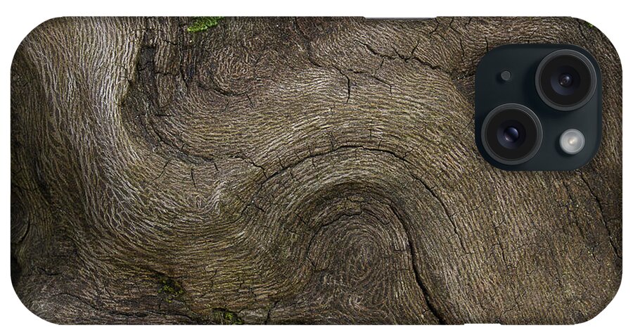 Root iPhone Case featuring the photograph Weathered Tree Root by Mike Eingle