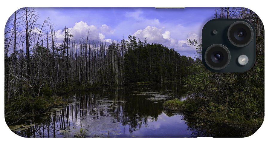 Nature iPhone Case featuring the photograph Webb Cedar Swamp Blog by Louis Dallara