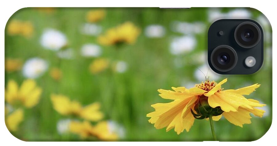 Photograph iPhone Case featuring the photograph Wee Grasshopper on the Coreopsis in a Field of Wildflowers by M E