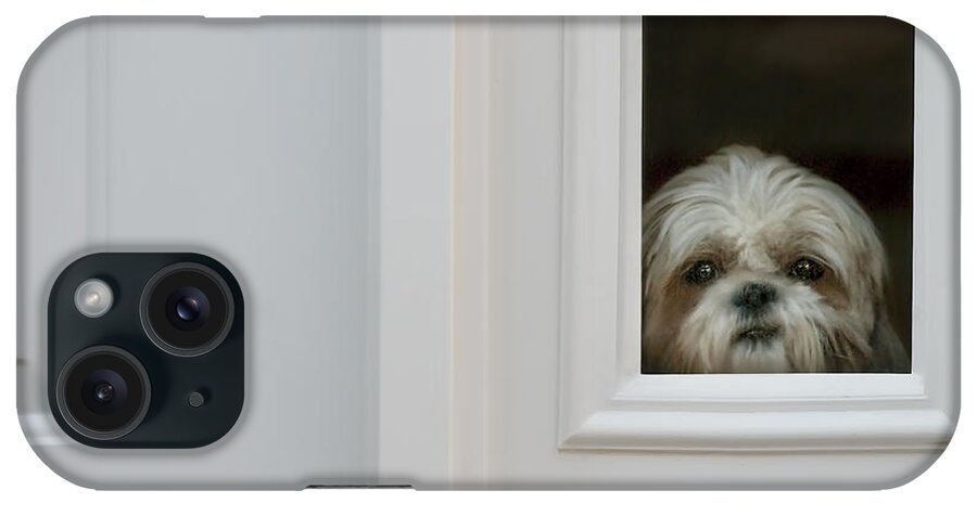 Dog iPhone Case featuring the photograph Welcome Home by Mitch Spence