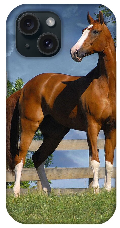Horses iPhone Case featuring the photograph Welt Adel by Fran J Scott