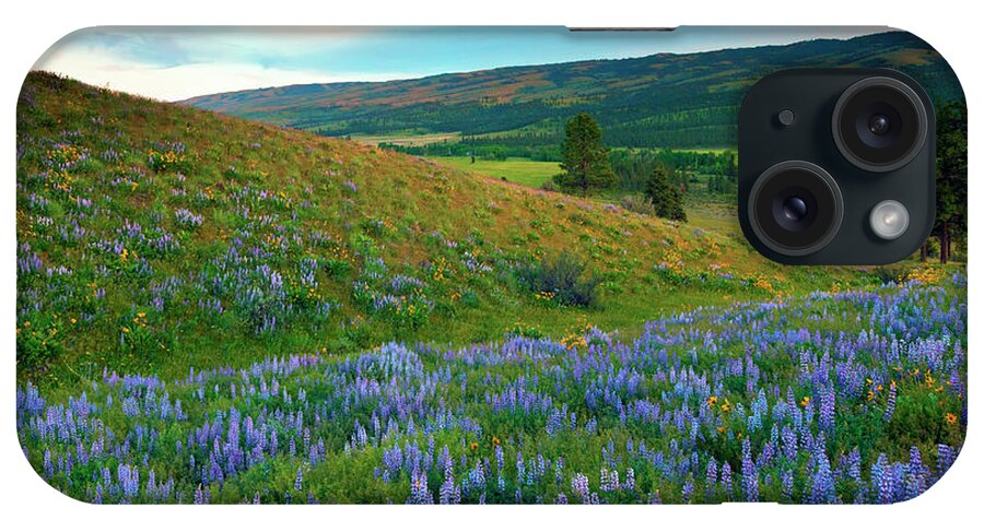 Wildlflowers iPhone Case featuring the photograph Wenas Valley Dusk by Michael Dawson