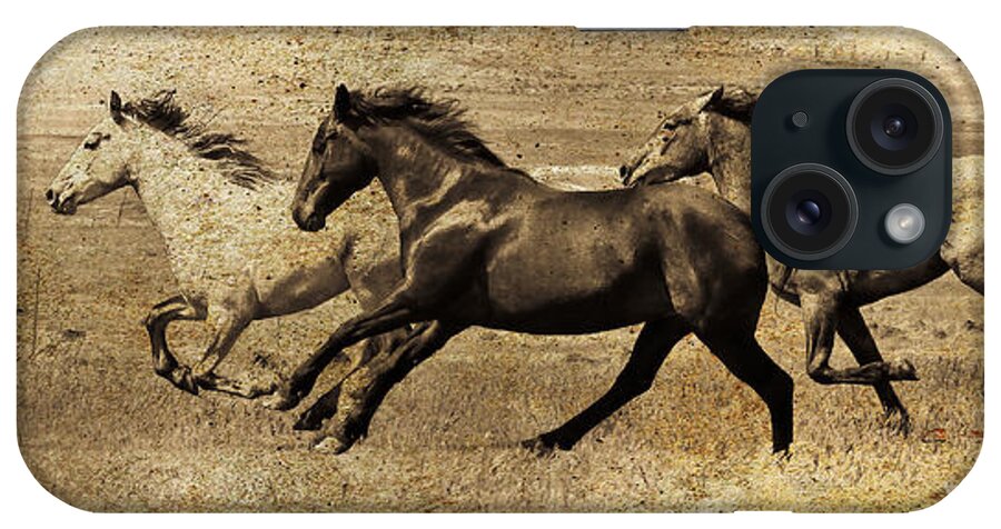 Horse Art iPhone Case featuring the photograph Western Flair by Steve McKinzie
