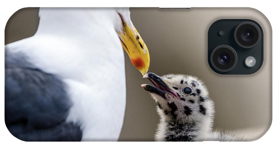 Bird iPhone Case featuring the photograph Western Gull Beak-To_beak With Her Chick by William Bitman