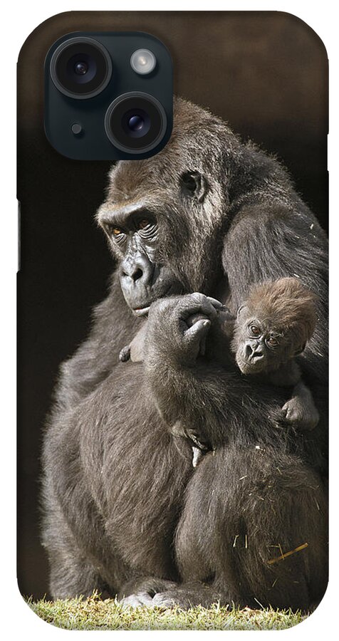 Mp iPhone Case featuring the photograph Western Lowland Gorillas by San Diego Zoo