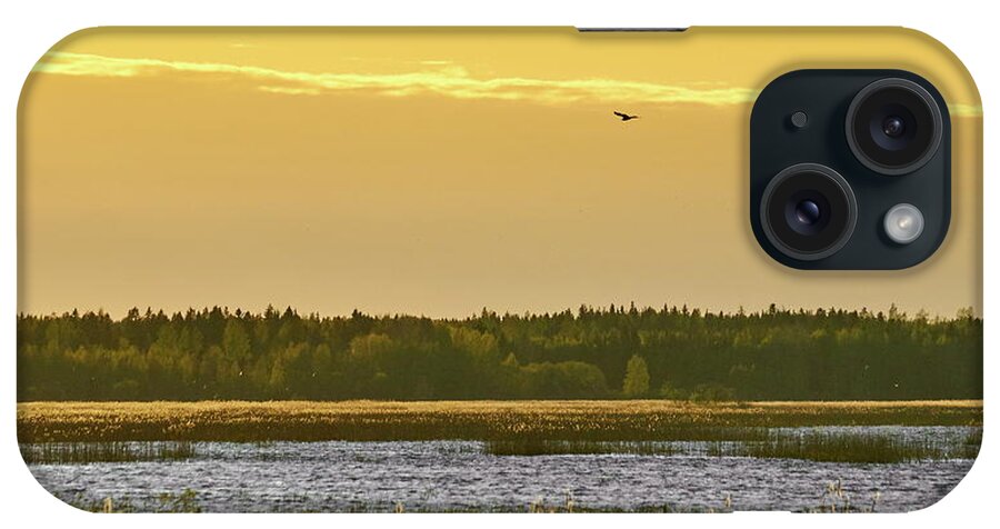 Isosuo iPhone Case featuring the photograph Western marsh harrier at Puurijarvi by Jouko Lehto