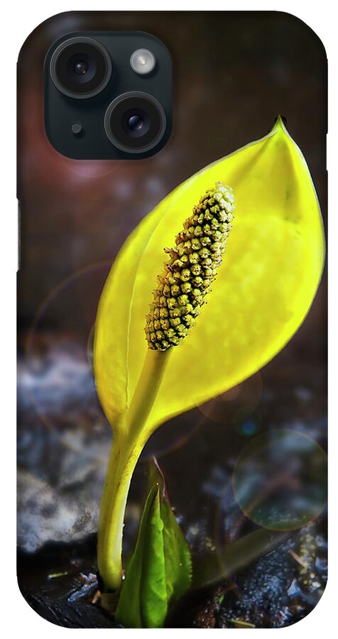 Flower iPhone Case featuring the photograph Western Skunk Cabbage by John Christopher