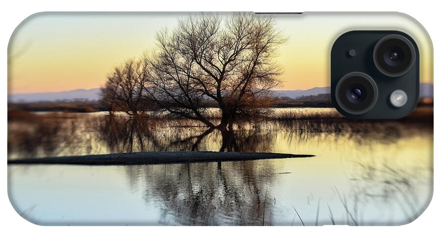 Wetlands iPhone Case featuring the photograph Wetland Haven by Alan C Wade