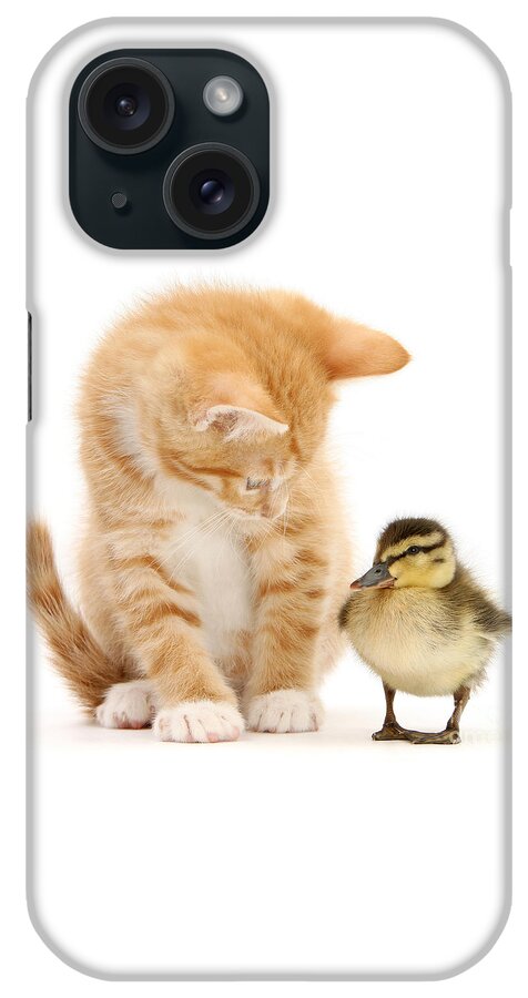 Duck iPhone Case featuring the photograph What a ducky little fellow by Warren Photographic