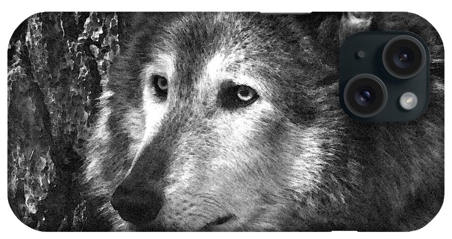 Wolf iPhone Case featuring the photograph What is a Wolf Thinking by Karol Livote