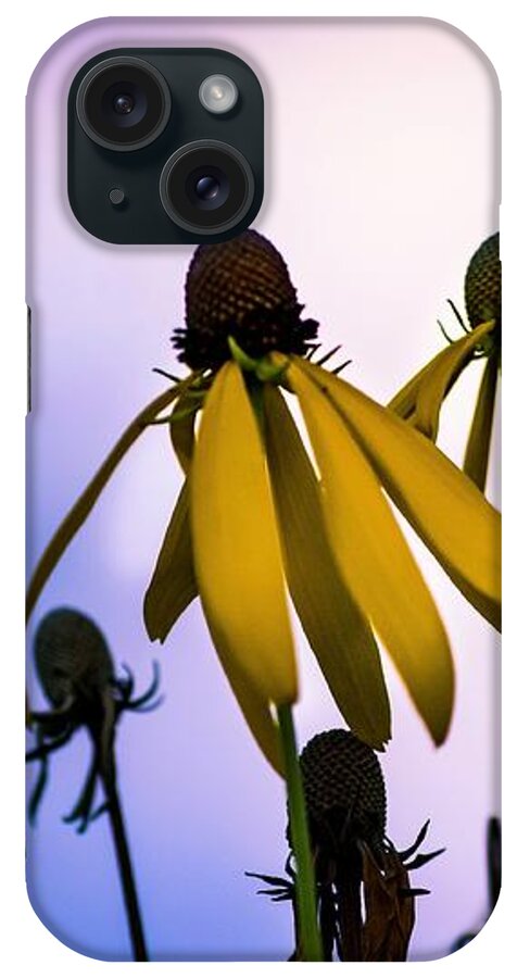  iPhone Case featuring the photograph What Remains by Terri Hart-Ellis