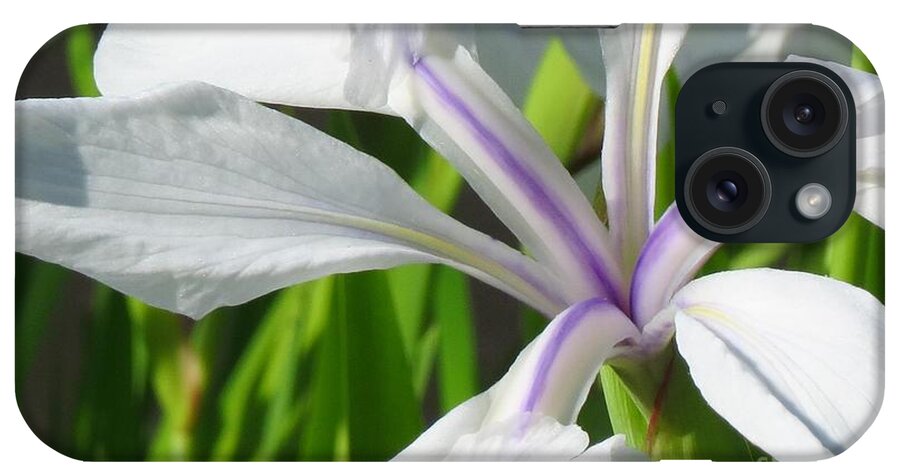 Flower iPhone Case featuring the photograph What the Eye Sees Iris by Anita Adams