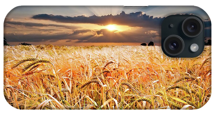 Wheat iPhone Case featuring the photograph Wheat At Sunset by Meirion Matthias