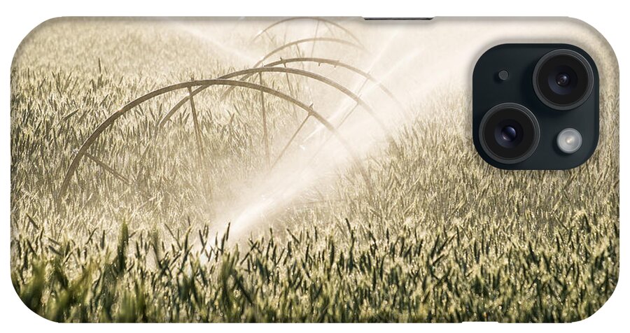 Agricultural iPhone Case featuring the photograph Wheat Crop Being Irrigated in Central Oregon by Bryan Mullennix