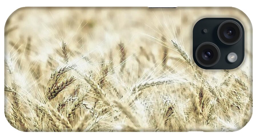 Wheat-field iPhone Case featuring the photograph Wheat by Jean Francois Gil
