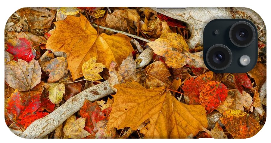  iPhone Case featuring the photograph When November Comes 8 by Rodney Lee Williams