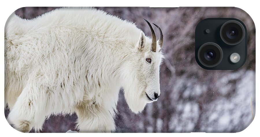 Mountain iPhone Case featuring the photograph Where Mountain Goats Walk by Yeates Photography