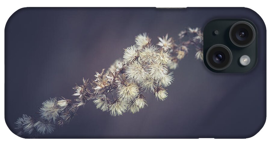 Plant iPhone Case featuring the photograph Whip by Shane Holsclaw