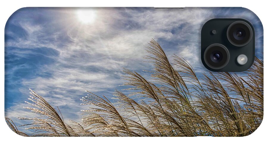 Sunlight iPhone Case featuring the photograph Whispering Grasses by Patti Raine