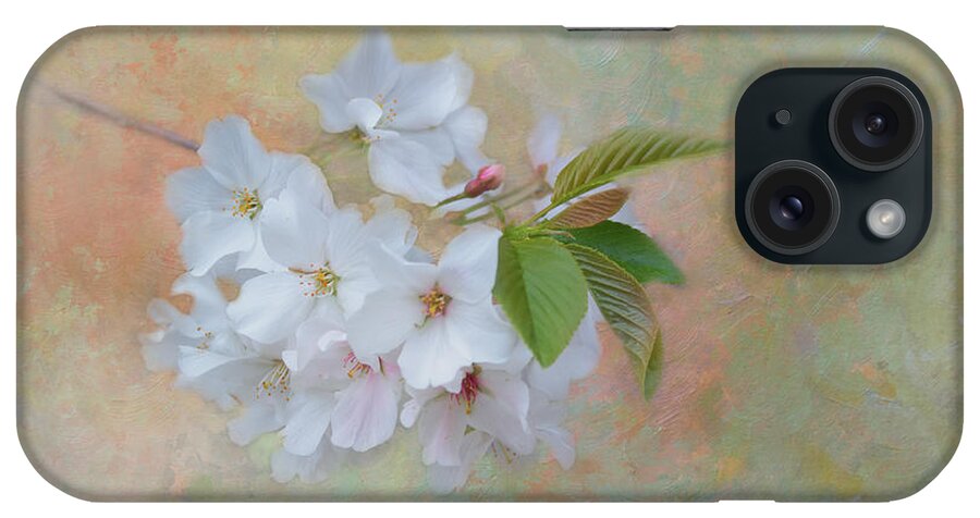 Cherry Blossom iPhone Case featuring the photograph Whispers of Spring by Kim Hojnacki