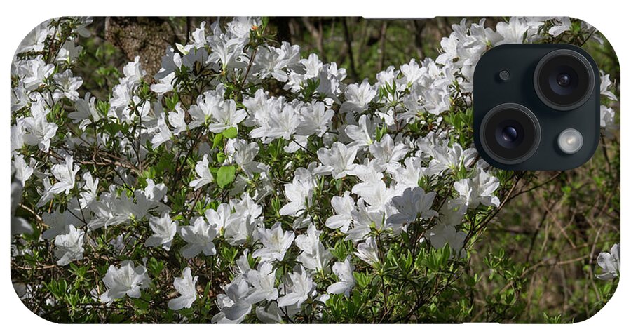 Roanoke iPhone Case featuring the photograph White Azalea by Teresa Mucha