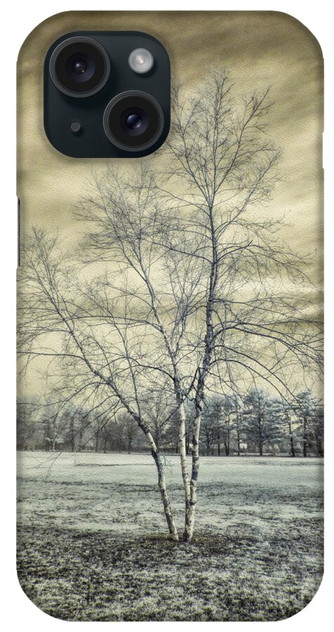 Infrared iPhone Case featuring the photograph White Birch In Cantiague Park by Jeff Breiman