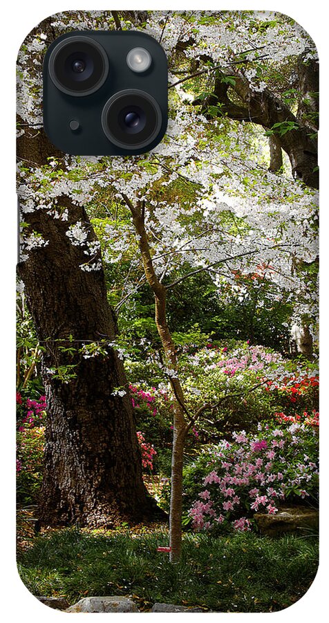 White Blossom In Descanso Gardens iPhone Case featuring the photograph White Blossom In Descanso Gardens by Viktor Savchenko