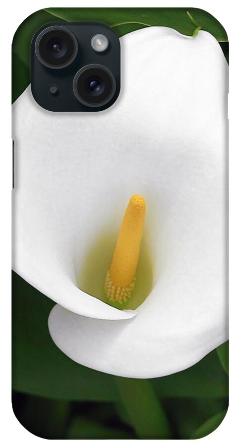 Flower iPhone Case featuring the photograph White Calla Lily by Alexandra Till