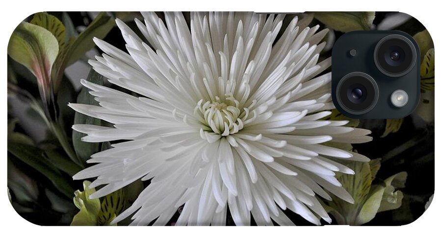 White iPhone Case featuring the photograph White Chrysanthemum by Bridgette Gomes
