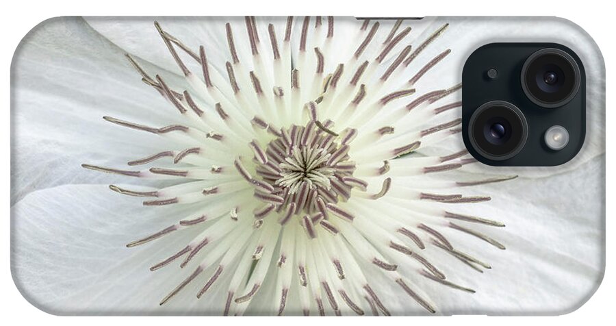 50121b iPhone Case featuring the photograph White Clematis Flower Garden 50121b by Ricardos Creations